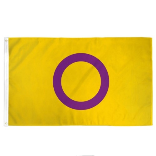 Intersex Pride Stick Flag 12" x 8"