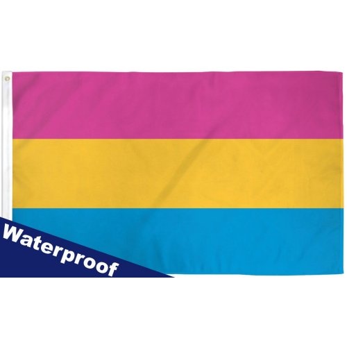 Pansexual Pride Flag 3' x 5'