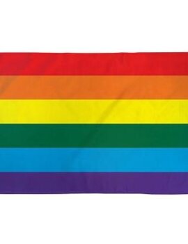 Rainbow Pride Flag  4' x 6'