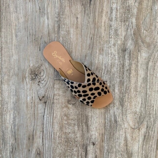 seychelles plateau city flats