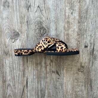 Intentionally Blank Intentionally _____ Clipz Slide