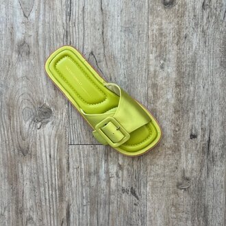 Intentionally Blank Intentionally _____ Astrid Slide