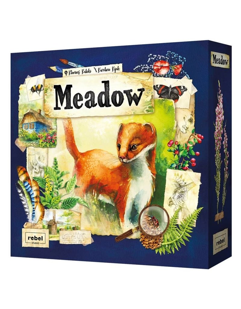 Asmodee Meadow 10+