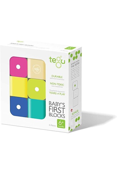 Tegu Baby's First Blocks 6 pcs.  6M+