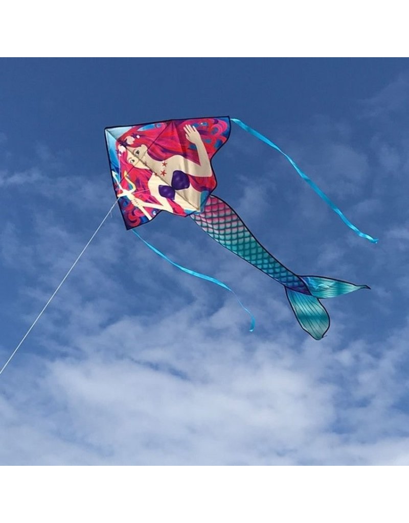 In The Breeze Fly Hi Delta Kite 45x84"