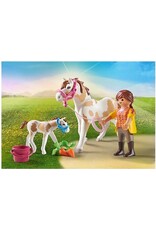 Playmobil Horse with Foal 4+