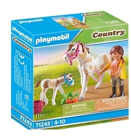 Playmobil Horse with Foal 4+