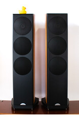 Naim Audio Naim Ovator S400 Floorstanding Speakers USED