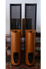 MartinLogan MartinLogan Clarity Floorstanding Speakers USED