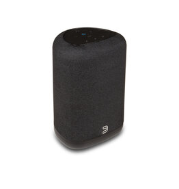 Bluesound Bluesound Pulse Flex (P130) Wireless Speaker