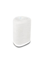 Bluesound Bluesound Pulse Flex (2025) Wireless Speaker