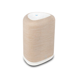 Bluesound Bluesound Pulse Flex (2025) Wireless Speaker