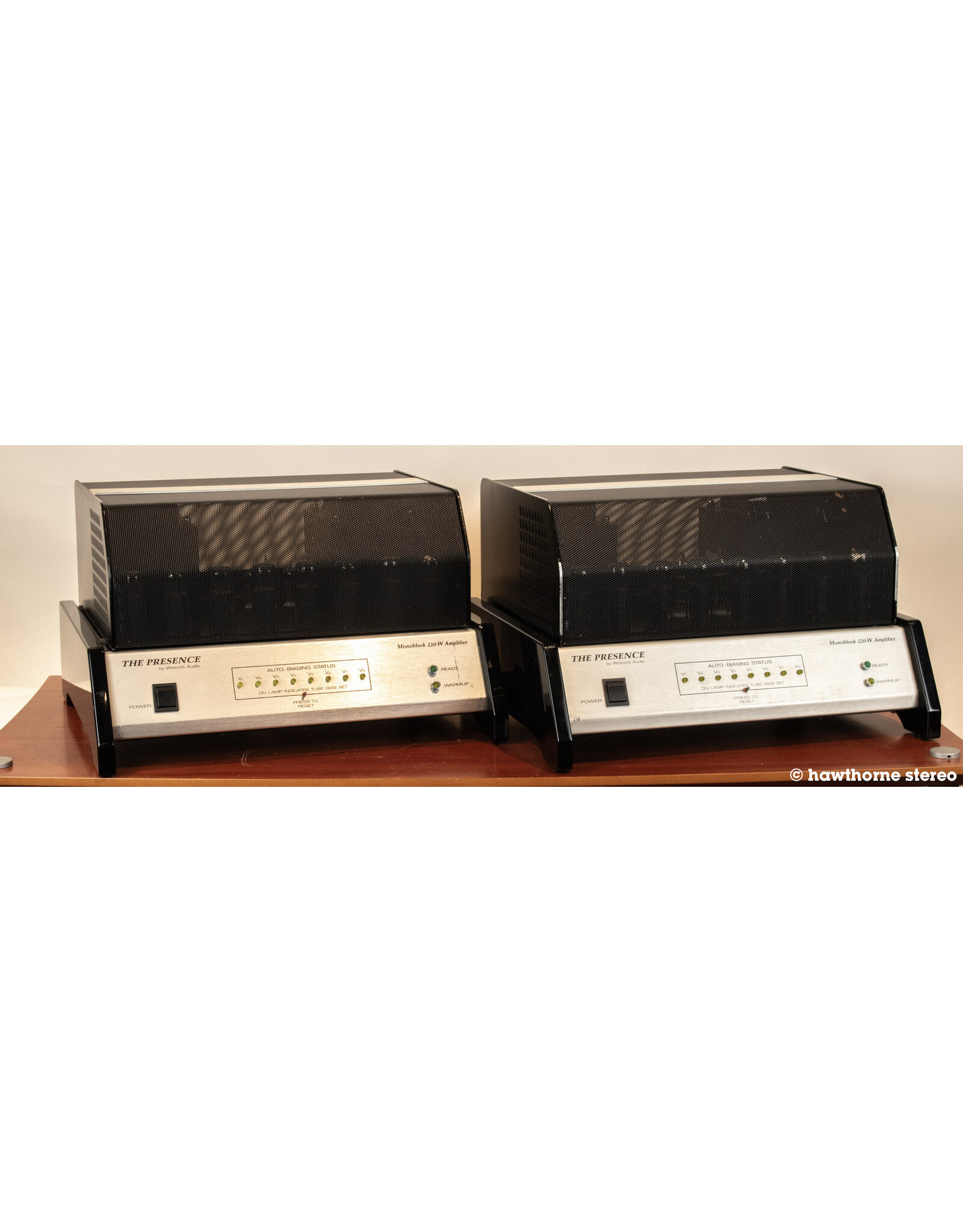 Wolcott Audio Wolcott Audio P220M Monoblock Power Amps USED