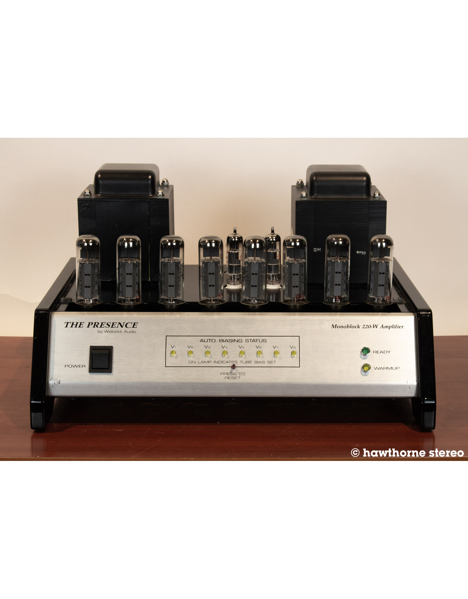 Wolcott Audio Wolcott Audio P220M Monoblock Power Amps USED