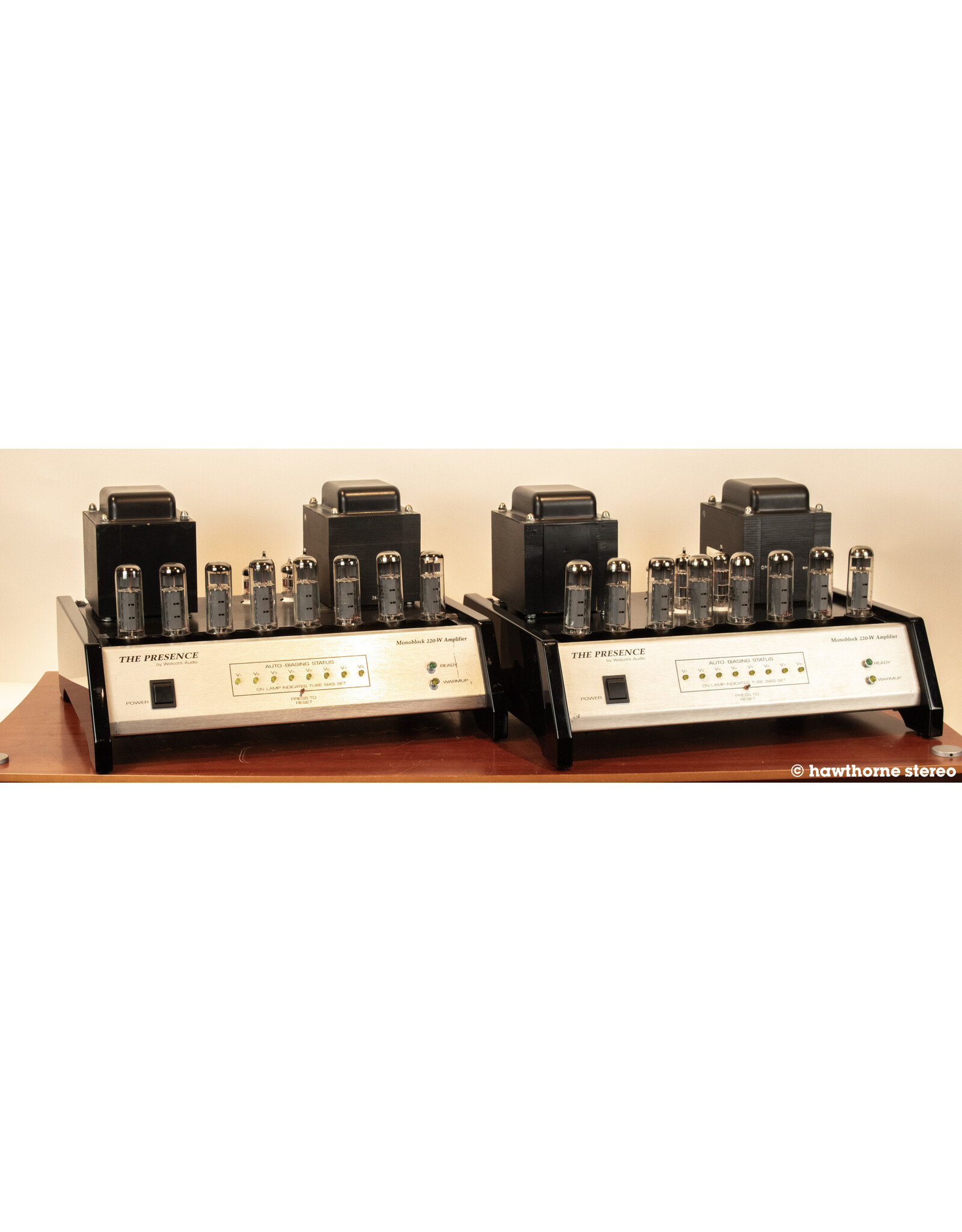 Wolcott Audio Wolcott Audio P220M Monoblock Power Amps USED