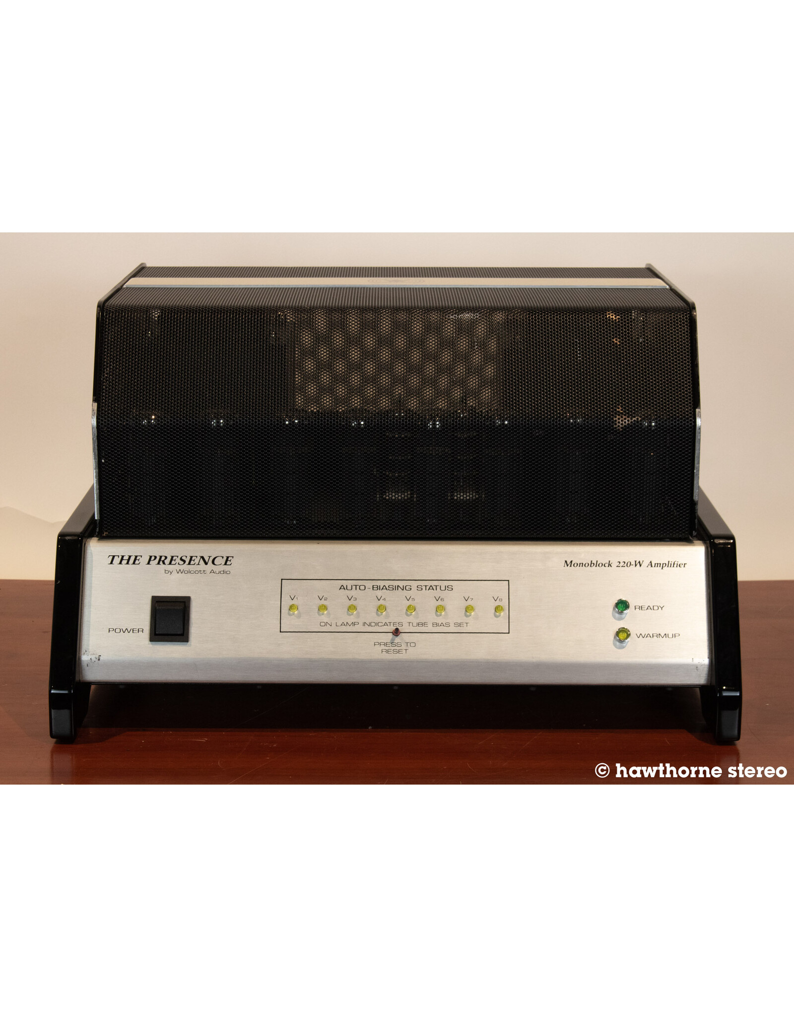 Wolcott Audio Wolcott Audio P220M Monoblock Power Amps USED