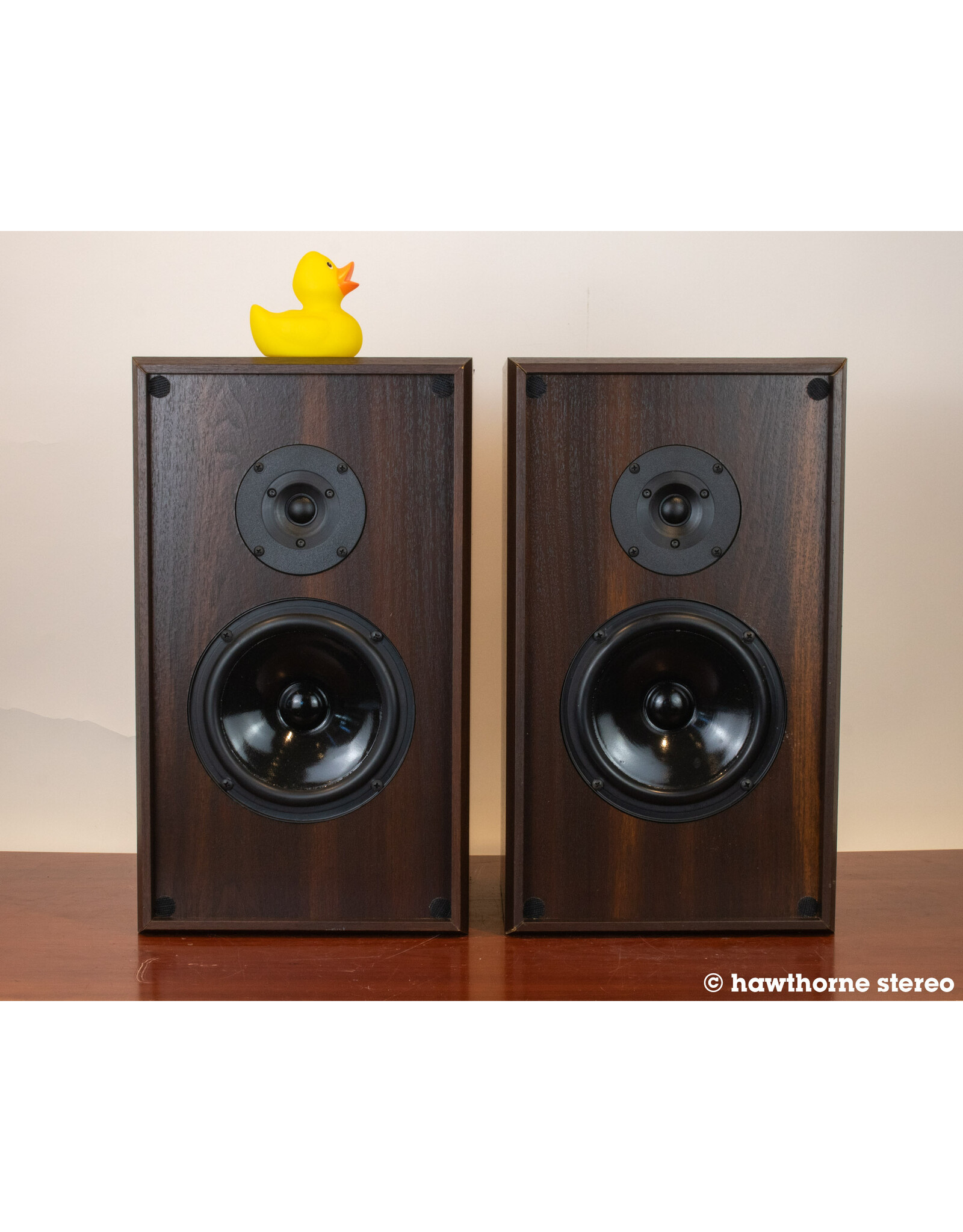 Pinnacle Pinnacle AC-650 Bookshelf Speakers USED