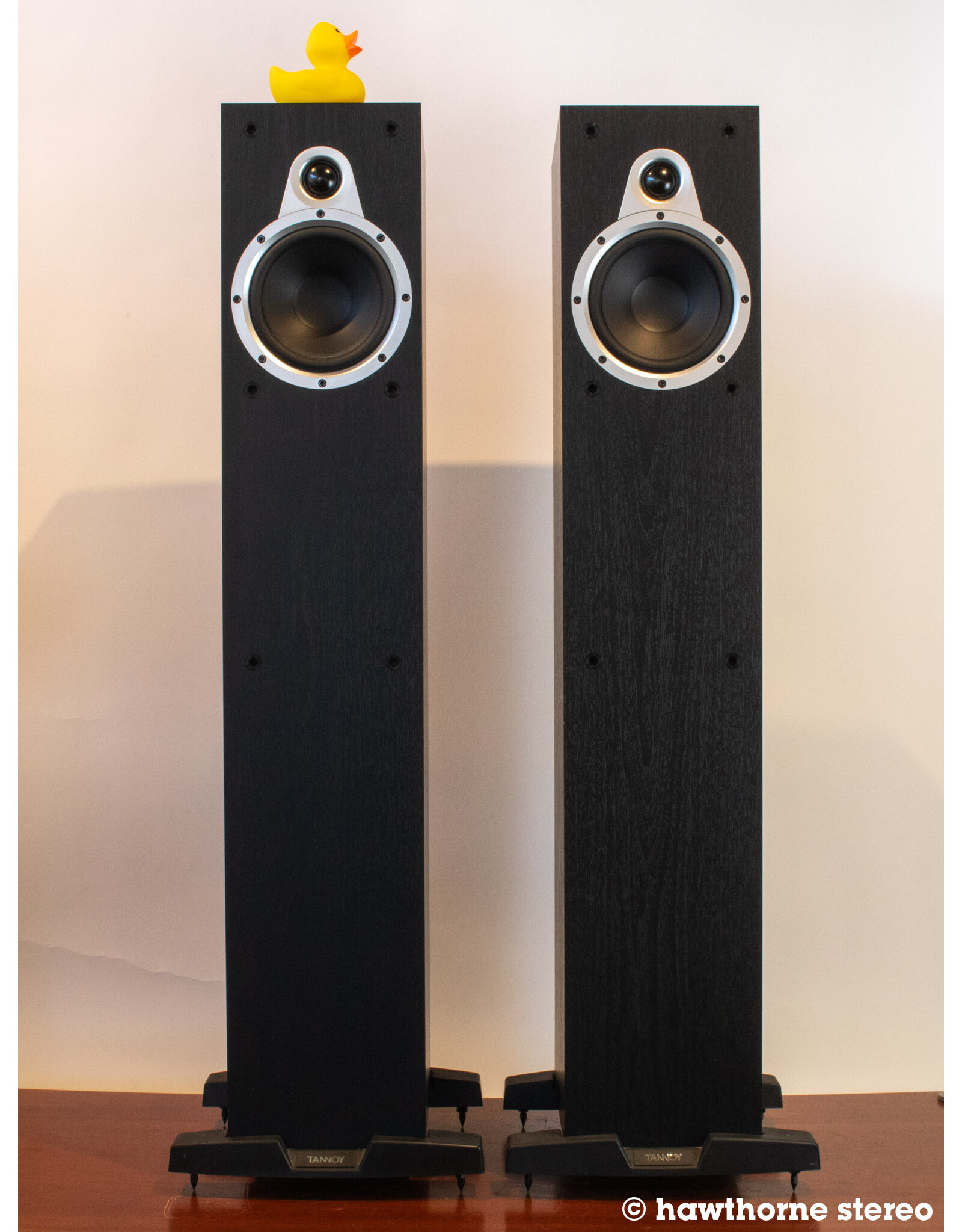 Tannoy Tannoy Eclipse Two Floorstanding Speakers USED