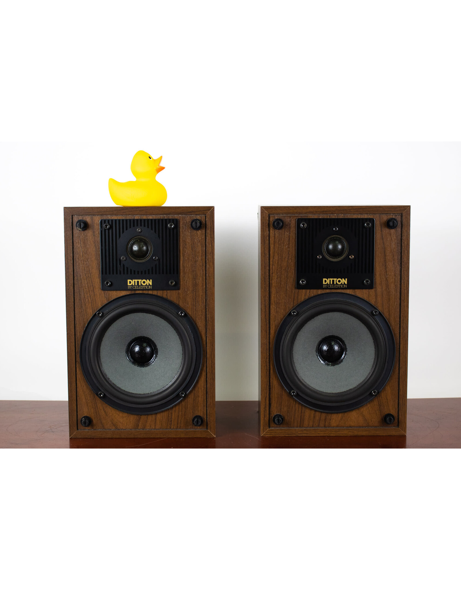 Celestion Celestion Ditton 100 Bookshelf Speakers USED