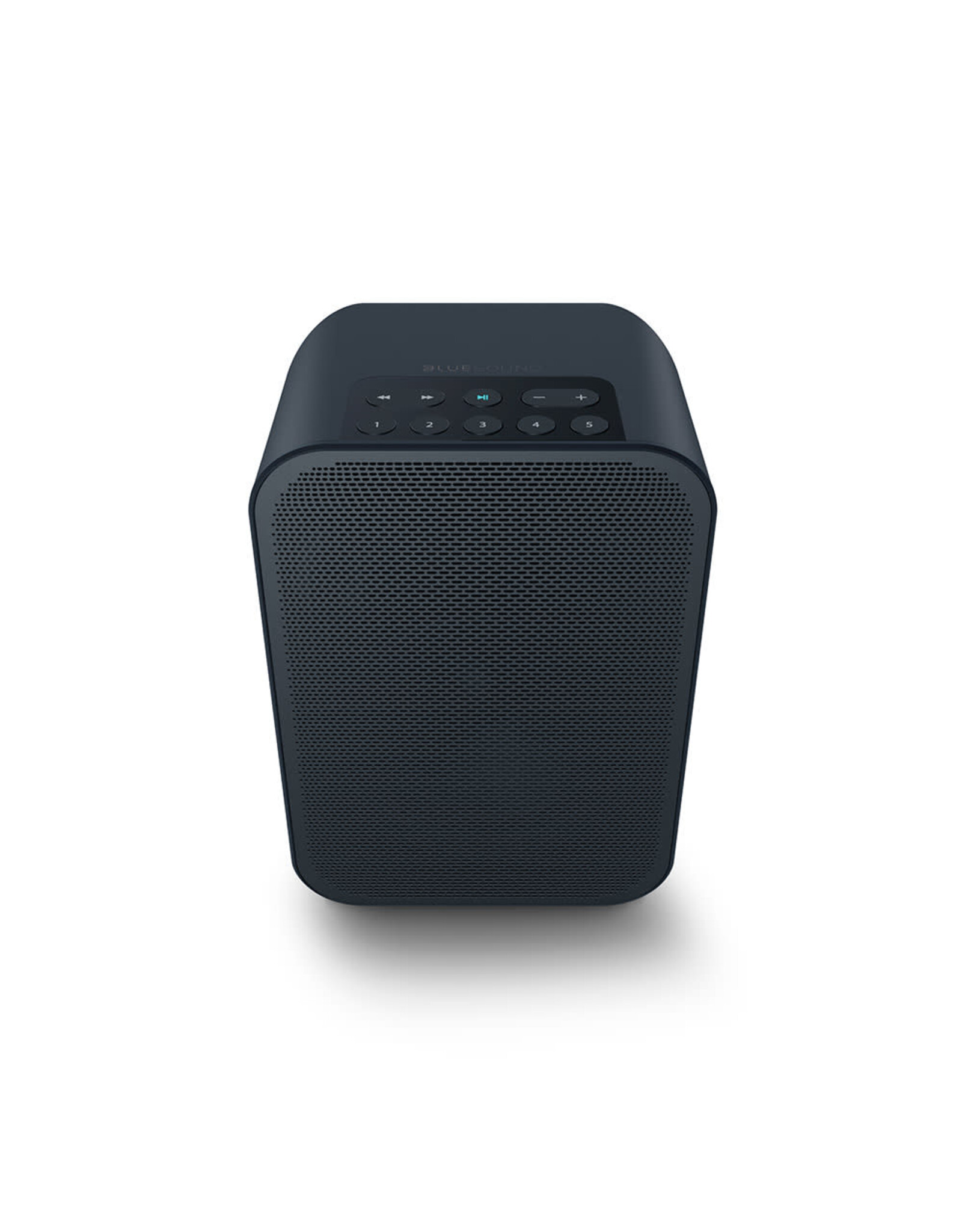 Bluesound Bluesound Pulse Flex 2i Wireless Speaker w/ BP100 Battery OPEN BOX