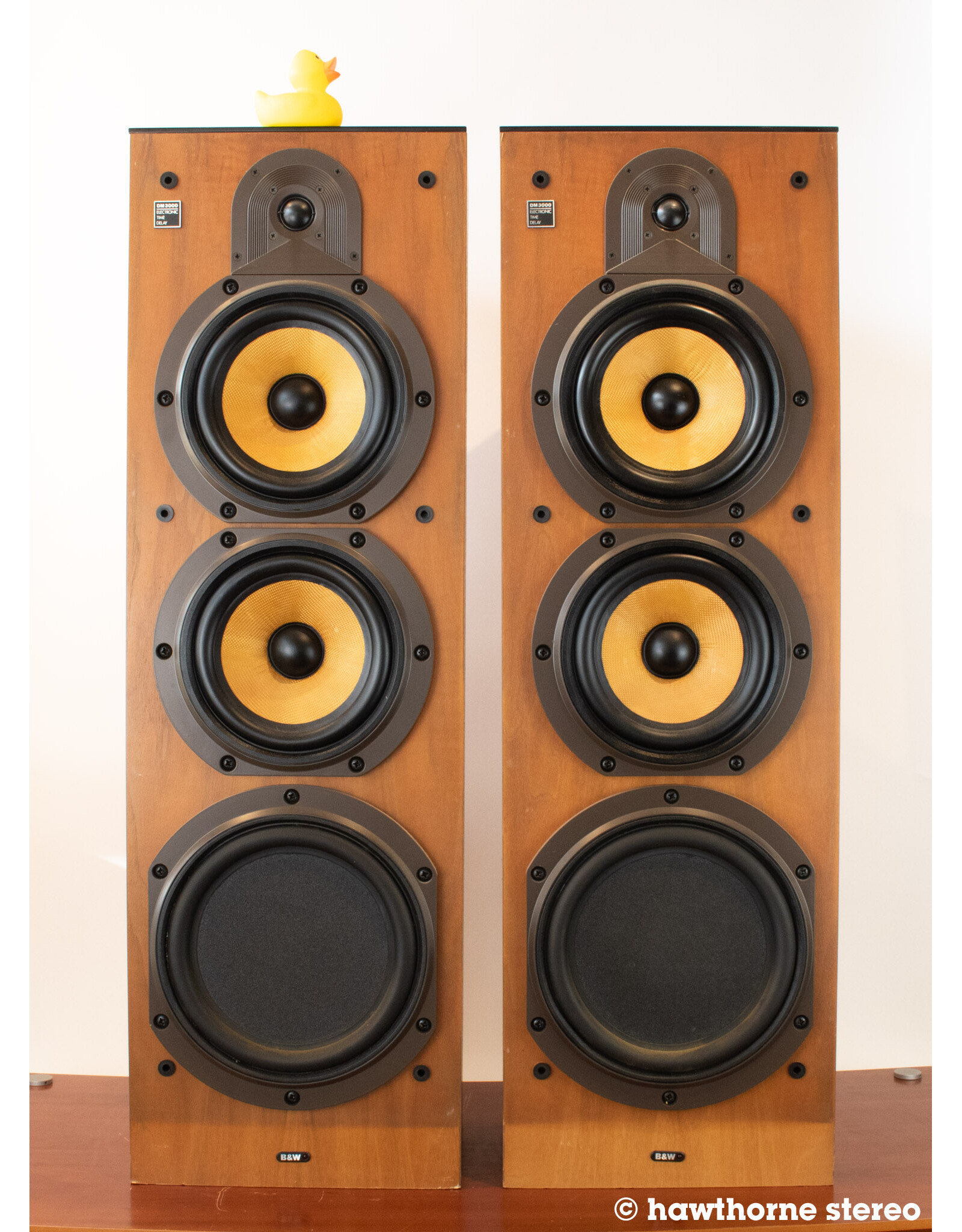 B&W B&W DM3000 Floorstanding Speakers USED