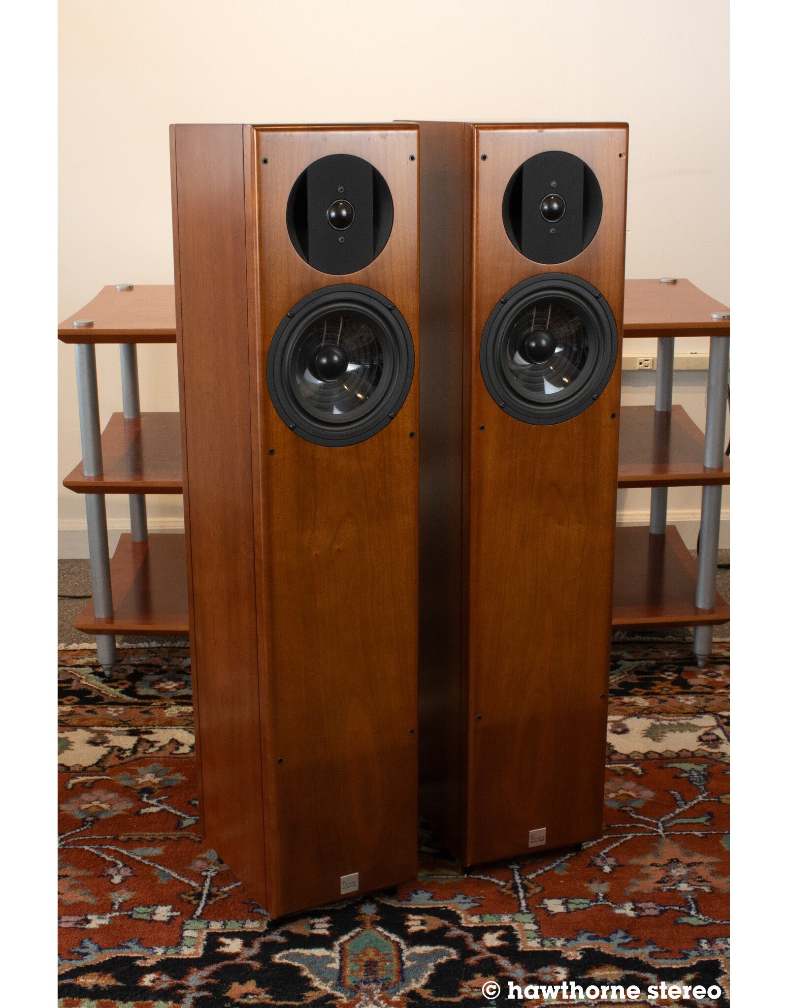 Vienna Acoustics Vienna Acoustics Bach Floorstanding Speakers USED