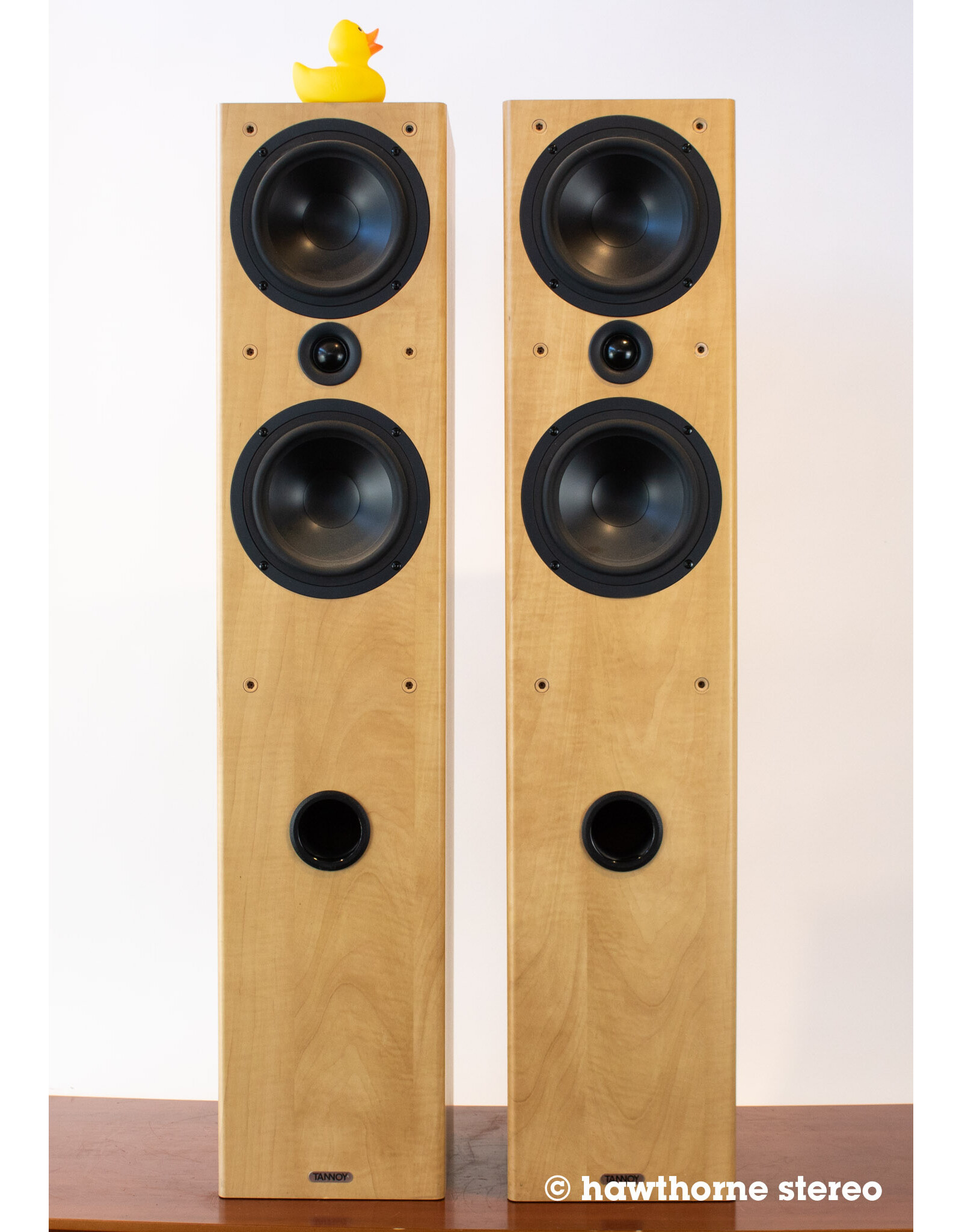 Tannoy Tannoy Mercury F4 Custom Floorstanding Speakers USED