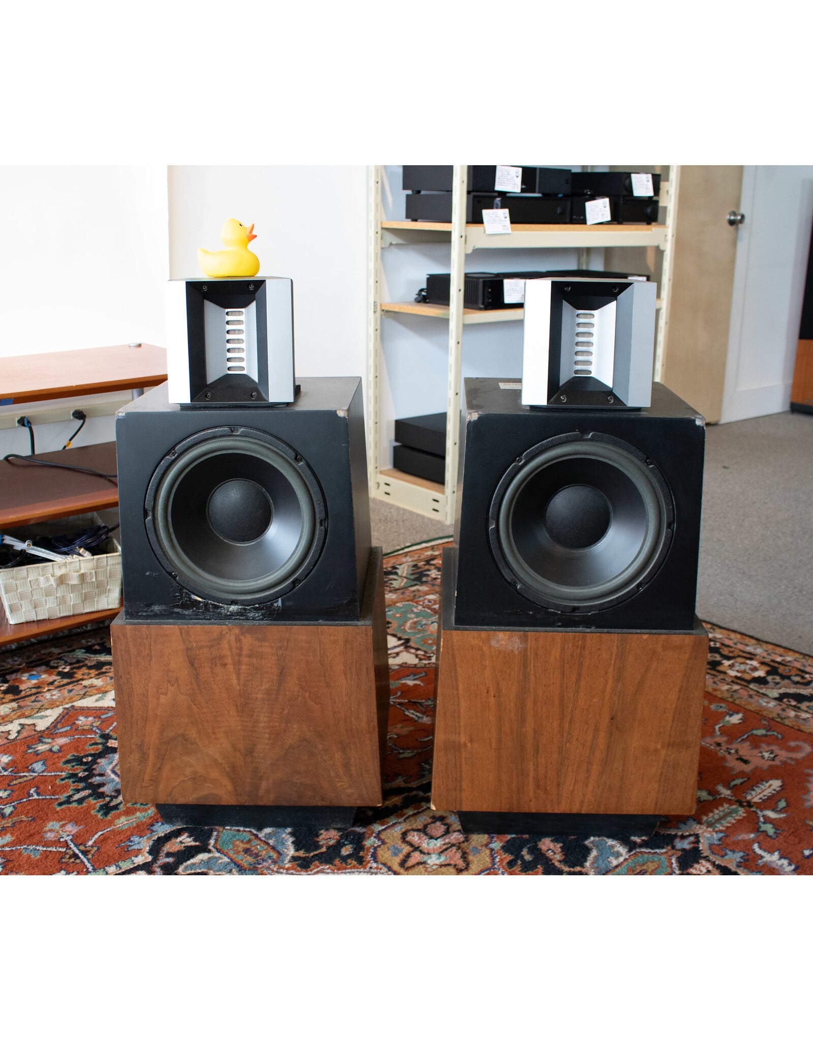 ESS ESS Tempest Classic Floorstanding Speakers USED
