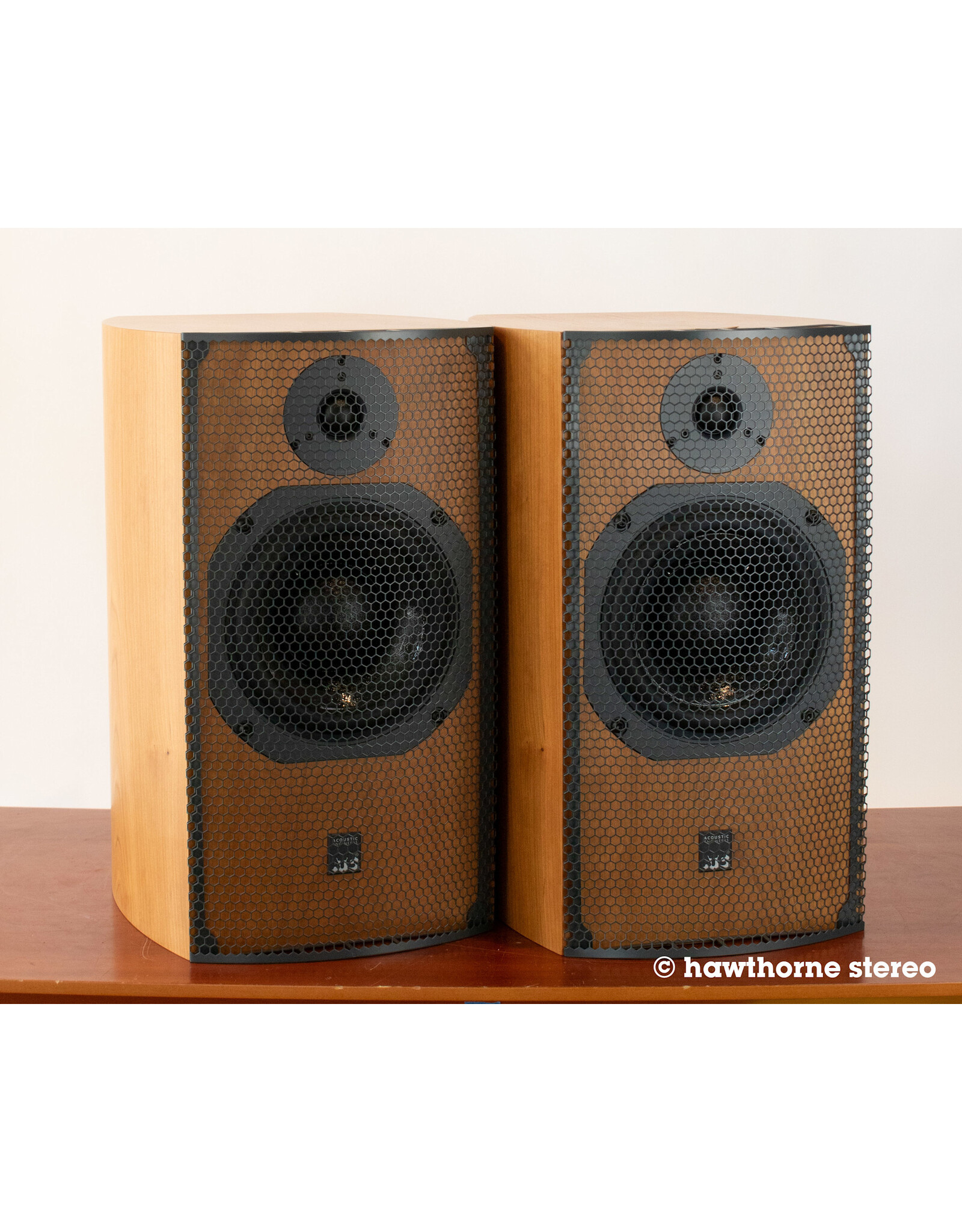 ATC ATC SCM19 V2 Bookshelf Speakers USED