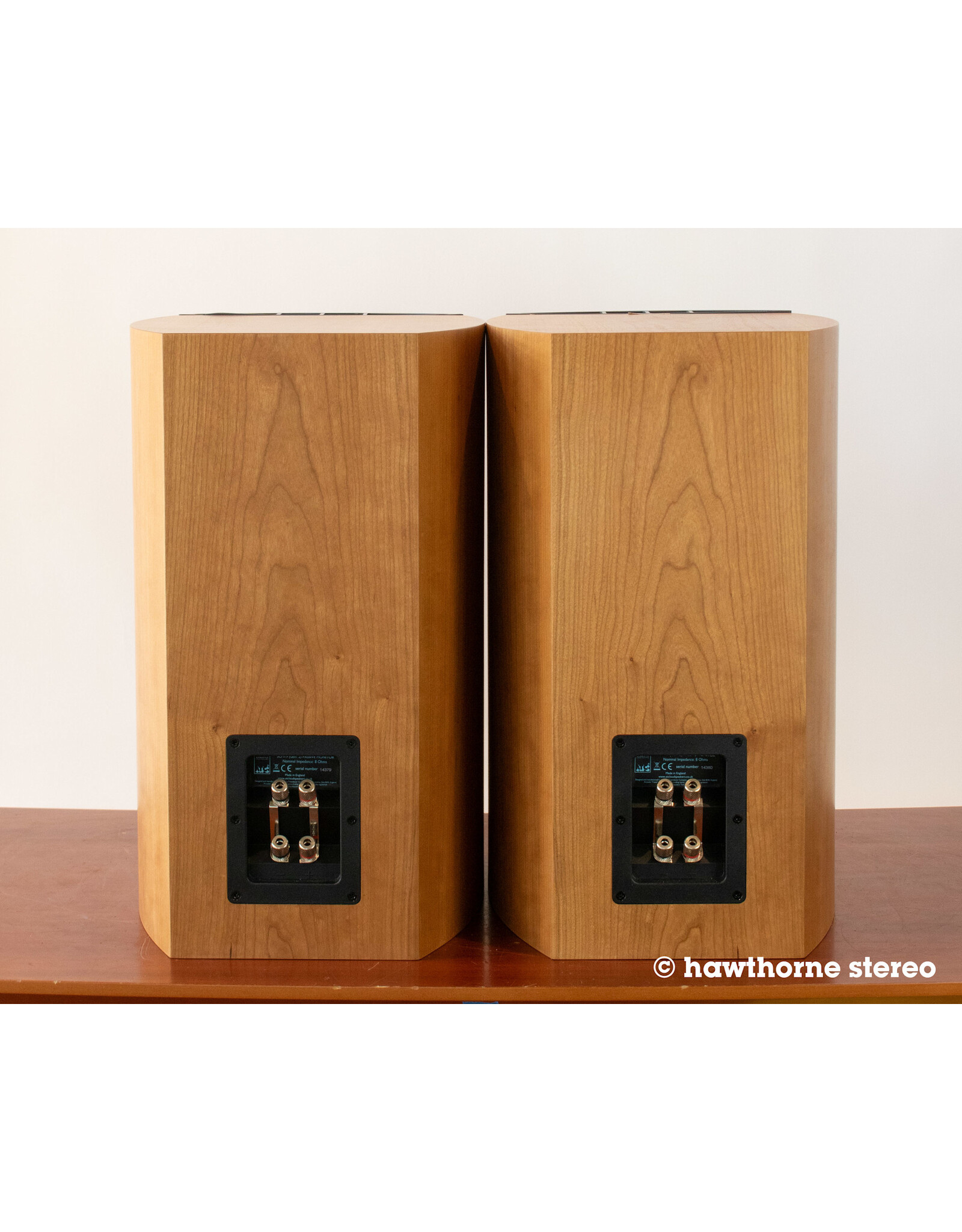 ATC ATC SCM19 V2 Bookshelf Speakers USED