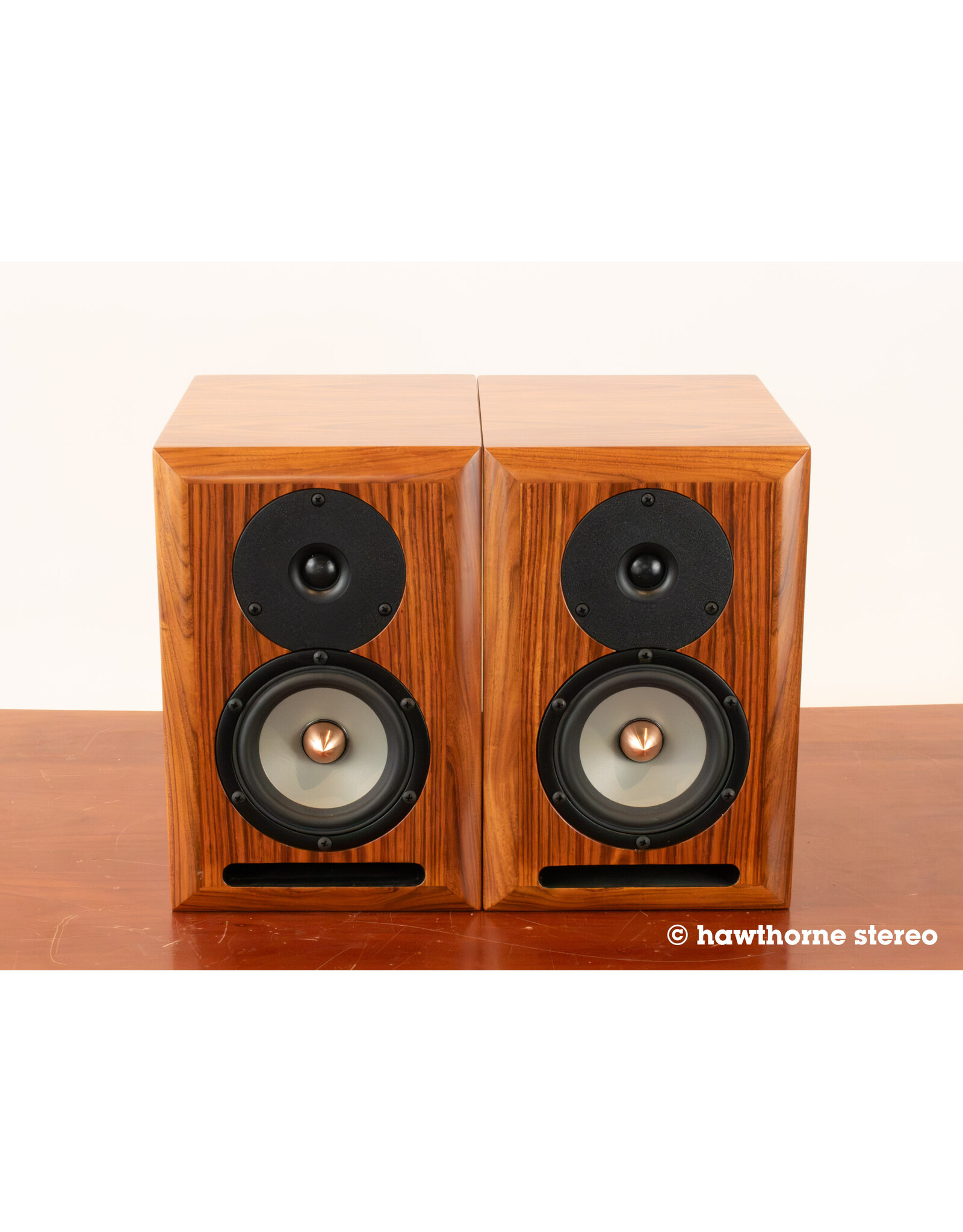 Salk Salk WOW1 Bookshelf Speakers USED