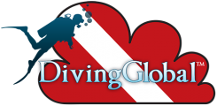 DivingGlobal Profile Main