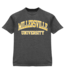 Basic Arch Tee Dark Heather