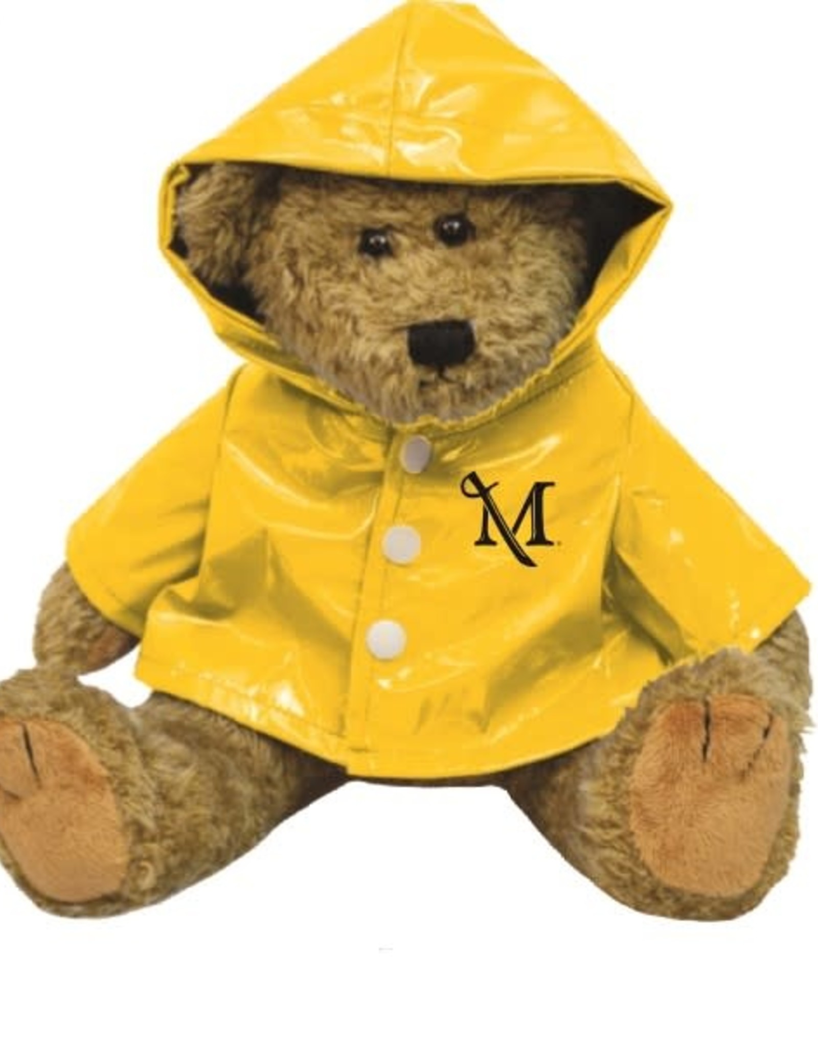 teddy bear in raincoat