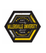 Black and Gold Hexagon Magnet