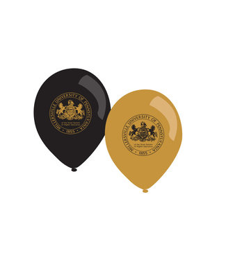 Millersville Balloon 10 pk