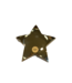 Gold Star Paperweight