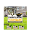 Millersville Yard Sign  Congratulations Custom