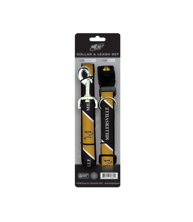 Leash and Collar Set