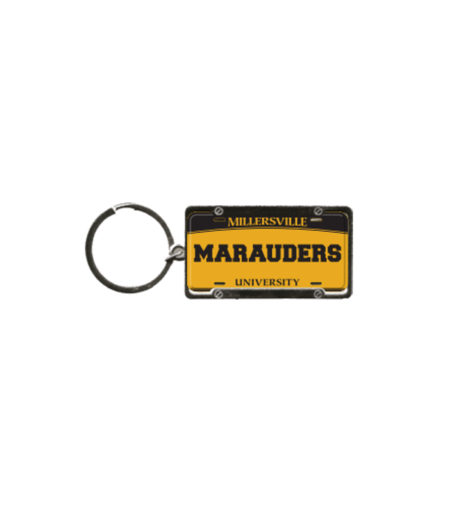 License Plate Keychain