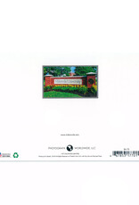 Biemesderfer Greeting Card
