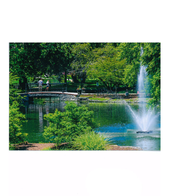 Pond Greeting Card