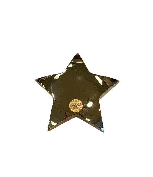 Gold Star Paperweight