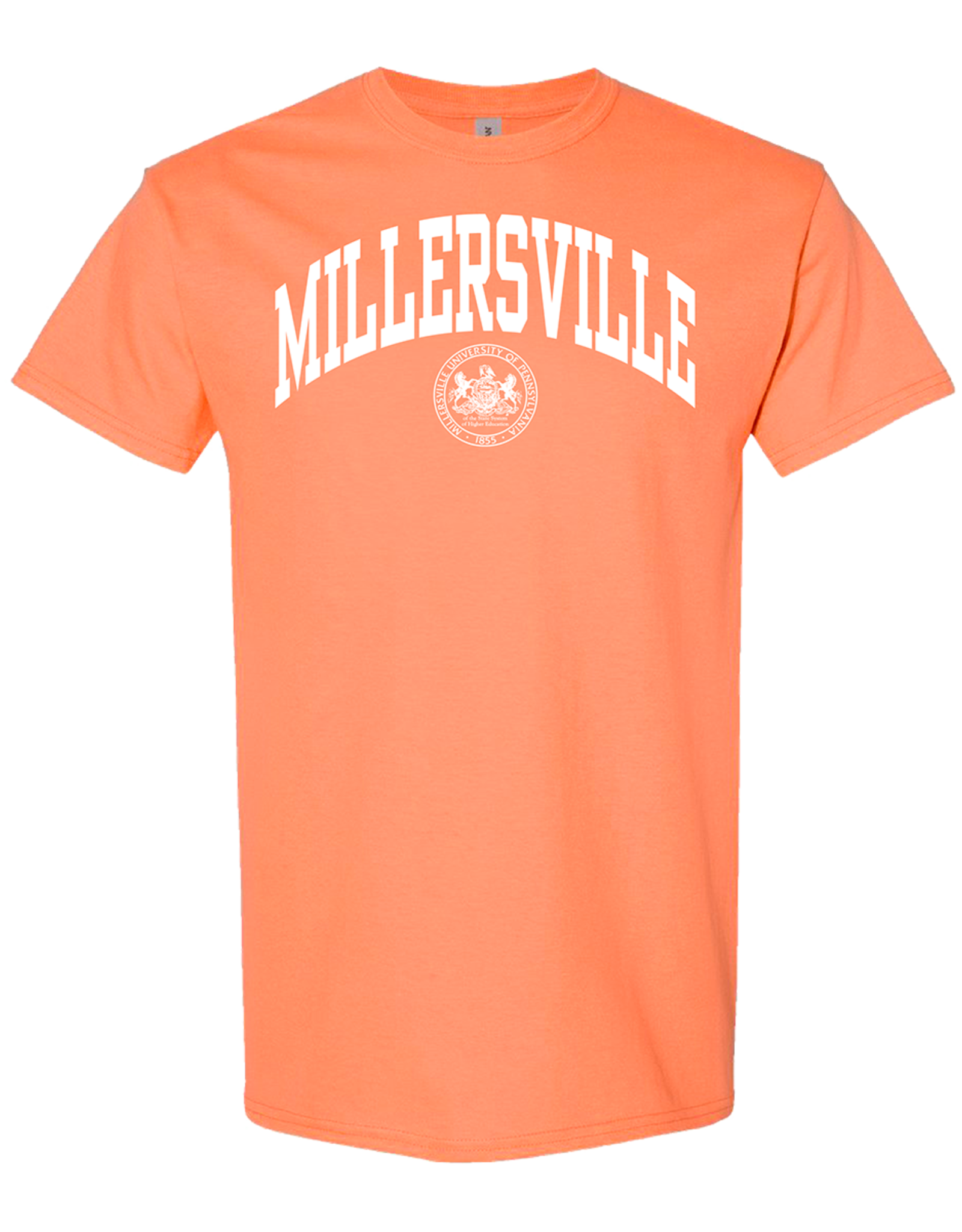 Spring 2025 Tee with Seal