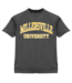 Basic Arch Tee Dark Heather