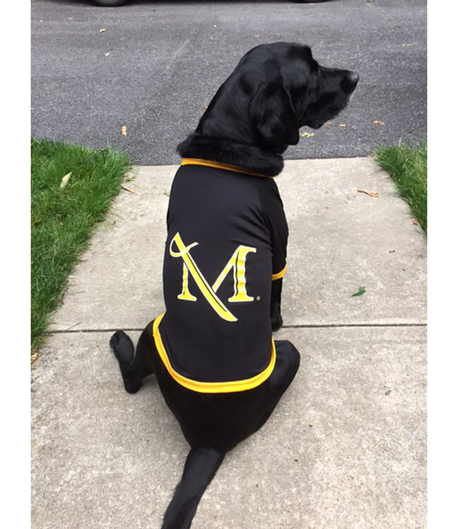Sublimated Dog Jersey