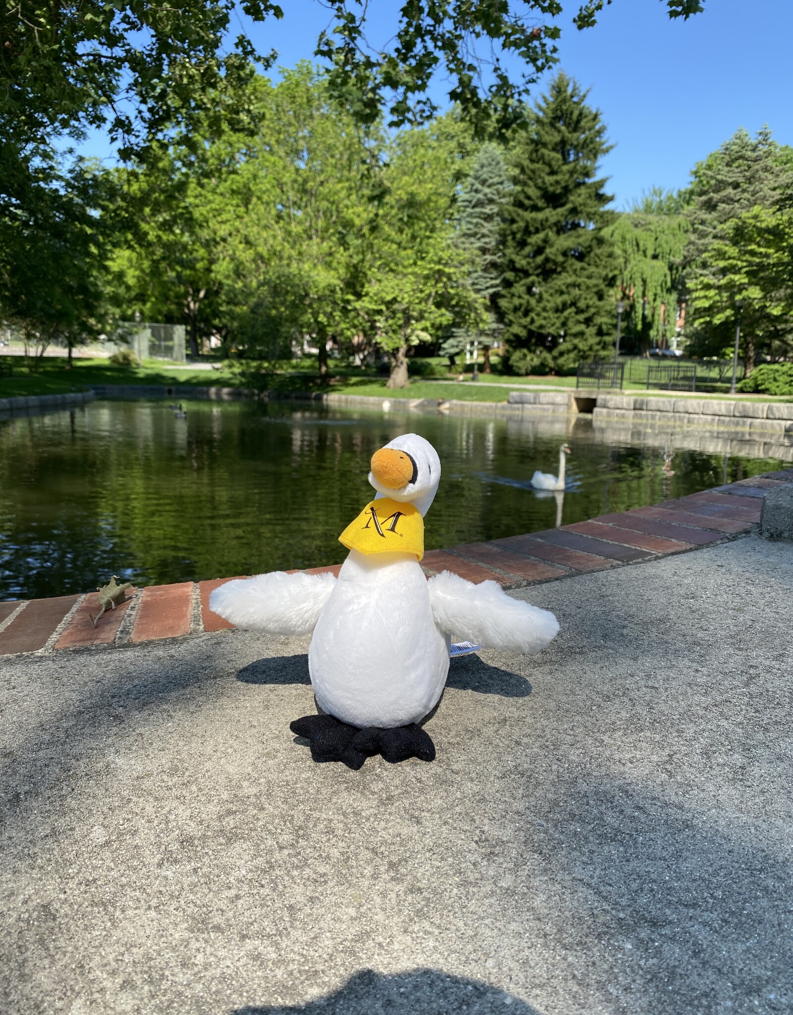 Millersville Swan Plush