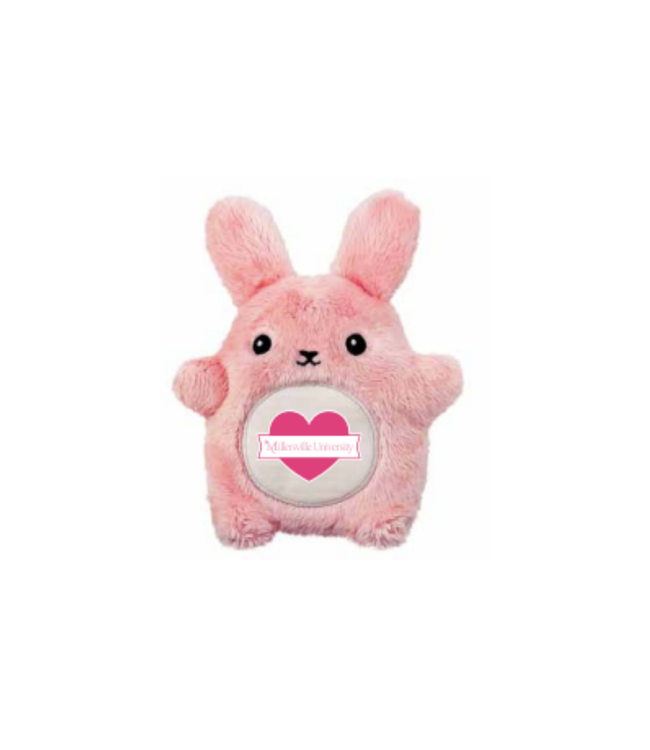 Breast Cancer Awareness Fan-Cake Fan-Cake Bunny