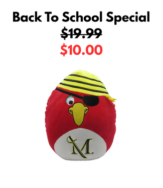 Skully Squishy Pillow - Birthday Deal!