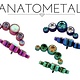 Anatometal Threadless 5 gem arc curve cluster (arc from center largest)))